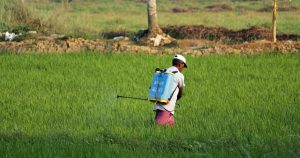 man in white t-shirt and blue denim shorts with blue backpack walking on green grass