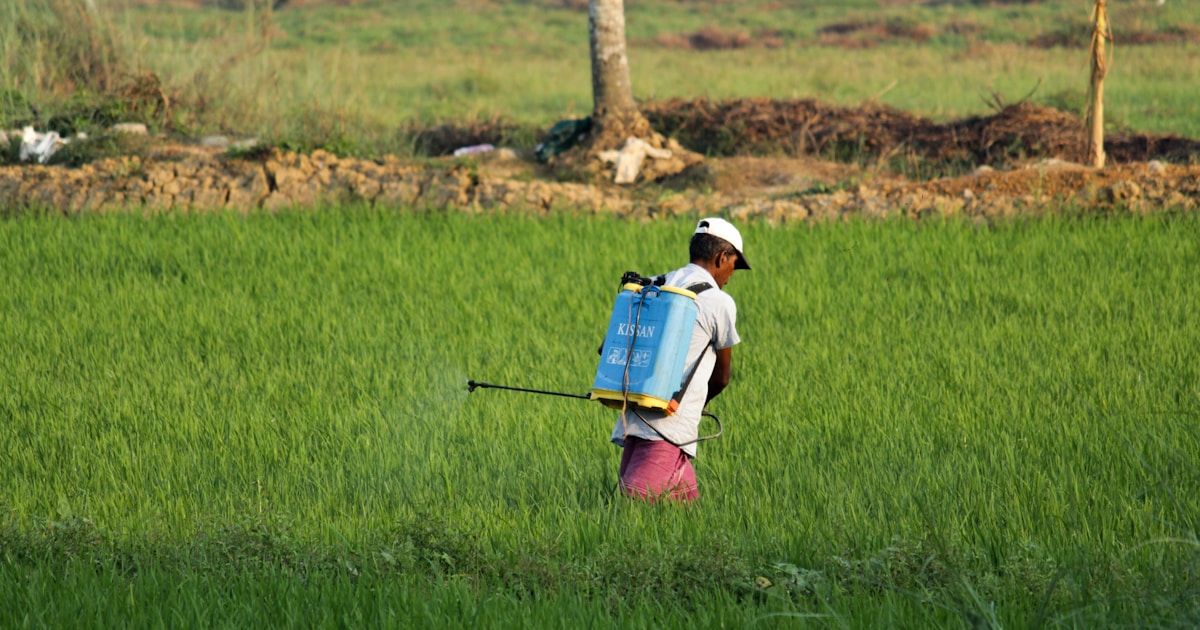 man in white t-shirt and blue denim shorts with blue backpack walking on green grass