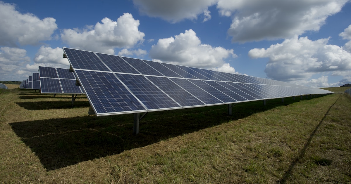 solar panels on green field