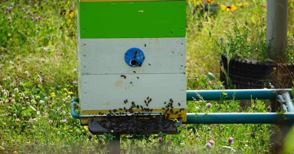 a beehive in the middle of a field of flowers