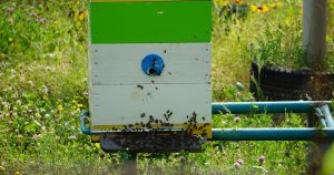 a beehive in the middle of a field of flowers